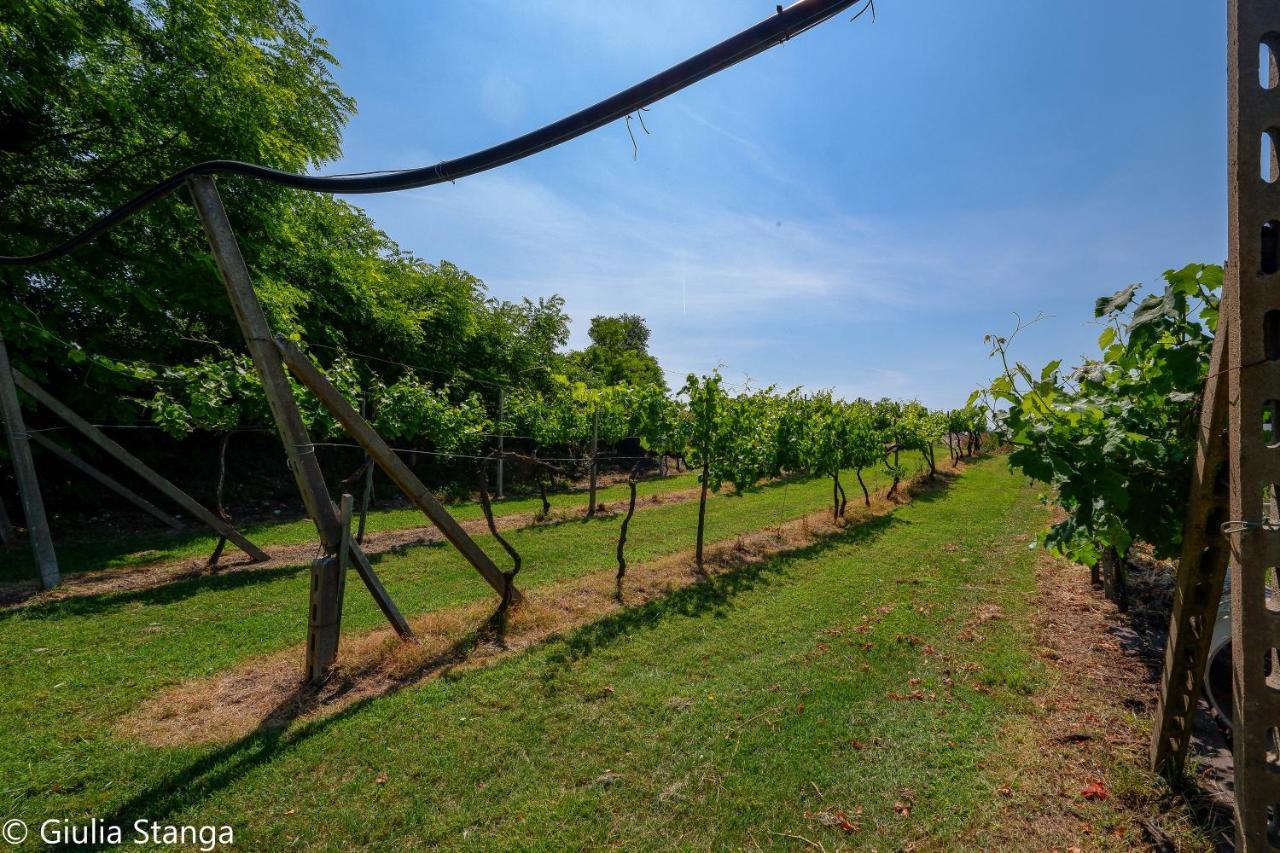 Cascina Graziosa Villa Lonato Eksteriør bilde