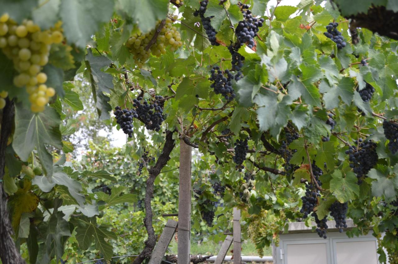 Cascina Graziosa Villa Lonato Eksteriør bilde